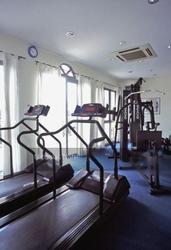 Dmanor (D16), Terrace #146715552